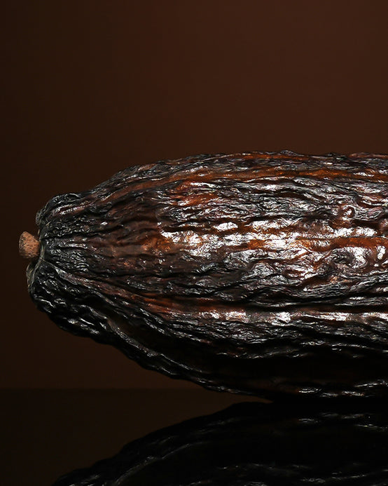 COCOA ABSOLUTE ORPUR™