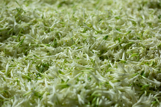 PREPARATION OF THE FLOWERS FOR SOLVENT EXTRACTION