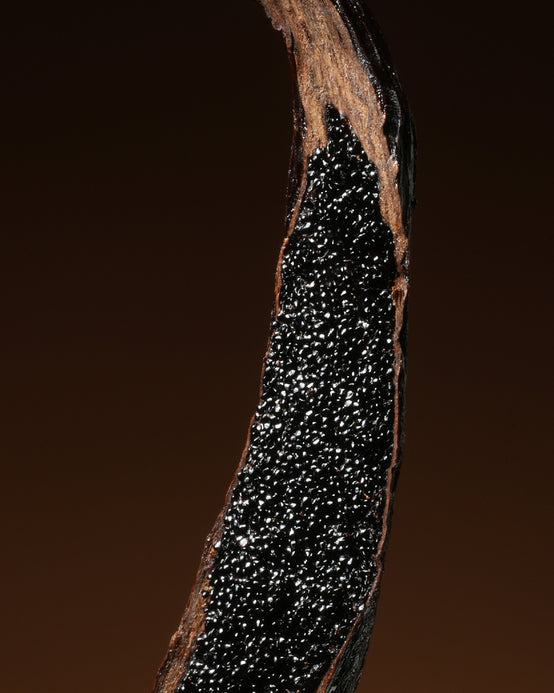 MADAGASCAR VANILLA CO₂ EXTRACT ORPUR™