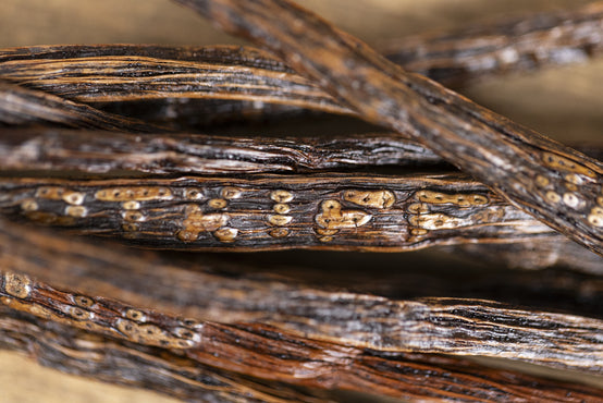 PRECIOUS VANILLA POD, SYMBOL OF PATIENCE AND CRAFTSMANSHIP