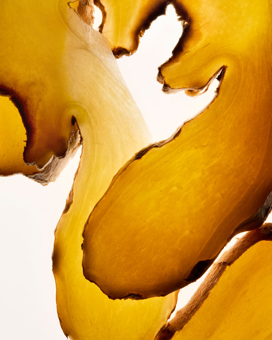 GINGER CO₂ EXTRACT