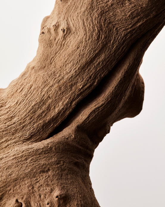 SANDALWOOD ESSENCE SANTALUM ALBUM FROM AUSTRALIA ORPUR™