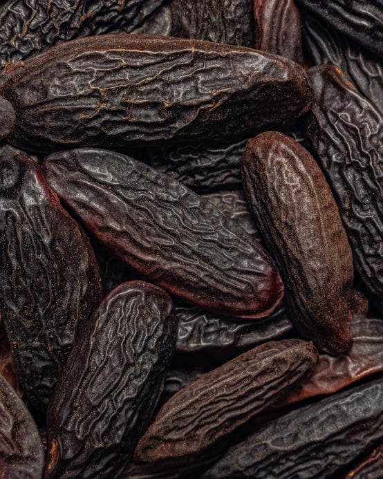TONKA BEAN ABSOLUTE FROM VENEZUELA ORPUR™ ROASTED TONKA BEAN ABSOLUTE FROM VENEZUELA ORPUR™